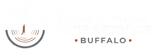 highlandtreeservicebuffalo.com