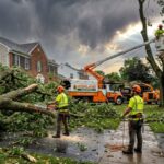 Emergency Tree Service
