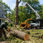 Tree Removal Buffalo NY