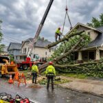 Emergency Tree Removal