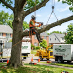 Tree Cutting Service NY