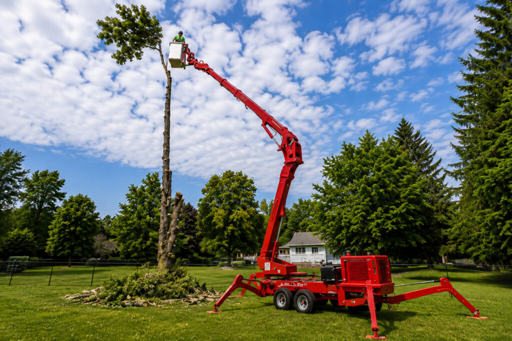 Tree Service Company in Buffalo