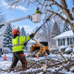 tree trimming Service