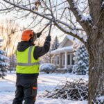 Tree Service Near Me